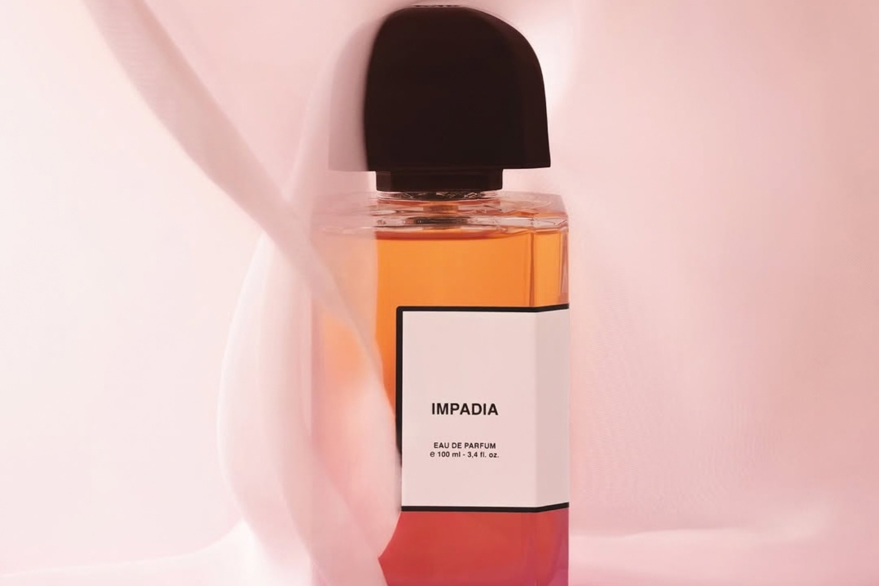 Impadia-2.png