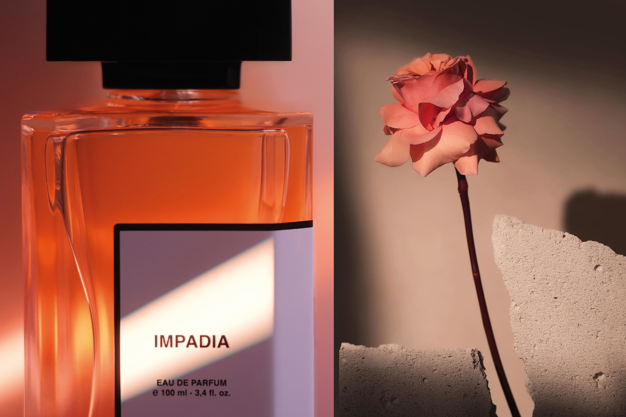 Impadia-3.png