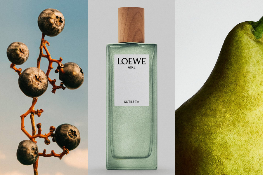 LOEWE-AIRE-SUTILEZA-KHI-SU-TINH-KHIET-TRO-THANH-DAU-AN-1.png
