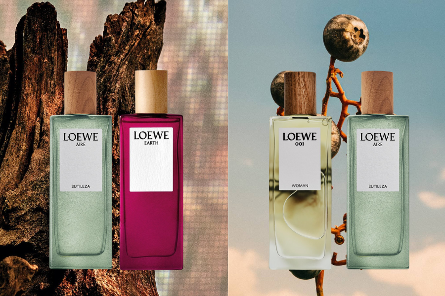 LOEWE-BOTANICAL-RAINBOW-MON-QUA-8-3-DANH-THUC-MOI-GIAC-QUAN-5.png