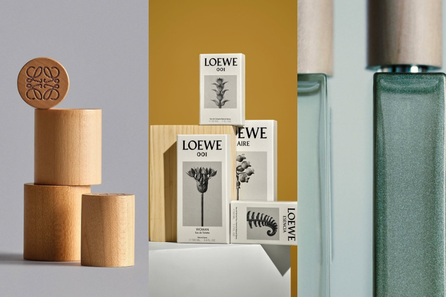 LOEWE-BOTANICAL-RAINBOW-MON-QUA-8-3-DANH-THUC-MOI-GIAC-QUAN.png