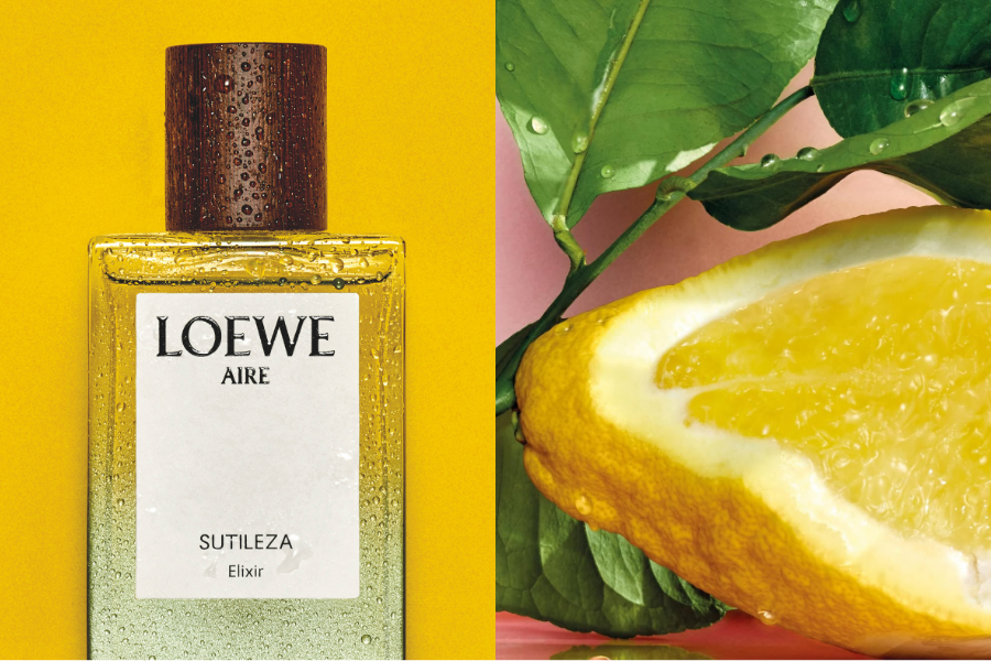 LOEWE-PERFUMES-TRINH-LANG-SIEU-PHAM-MUA-HE-AIRE-SUTILEZA-ELIXIR-2.png