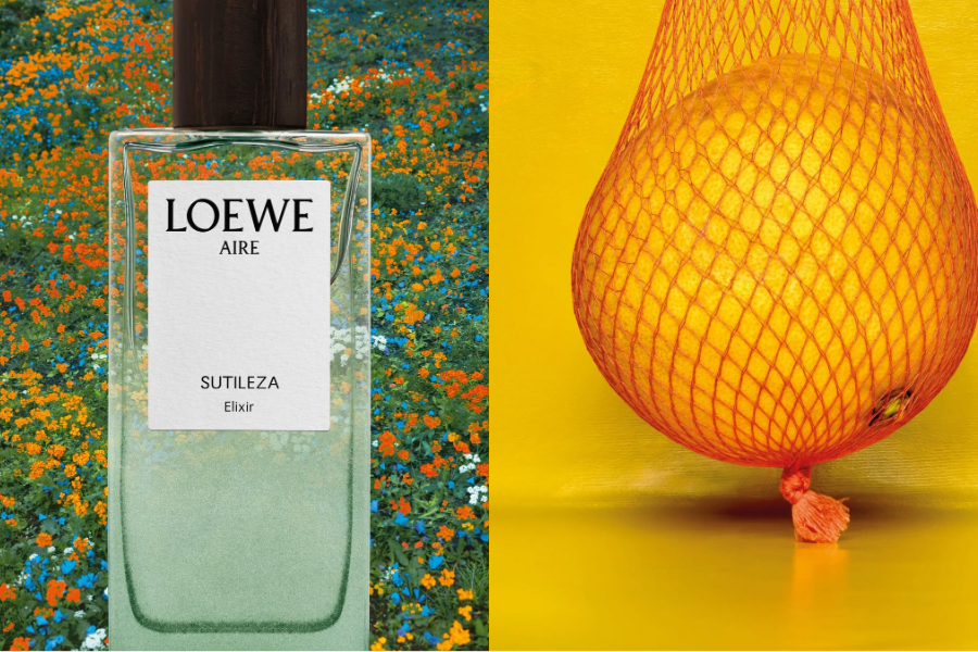 LOEWE-PERFUMES-TRINH-LANG-SIEU-PHAM-MUA-HE-AIRE-SUTILEZA-ELIXIR-3.png