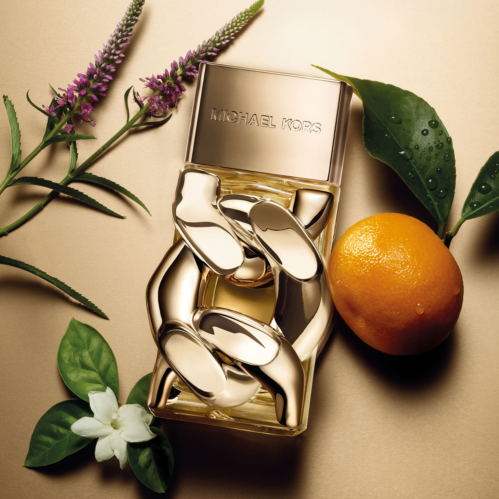 SUC-HUT-THOI-THUONG-TU-BO-DOI-NUOC-HOA-MICHAEL-KORS.jpg