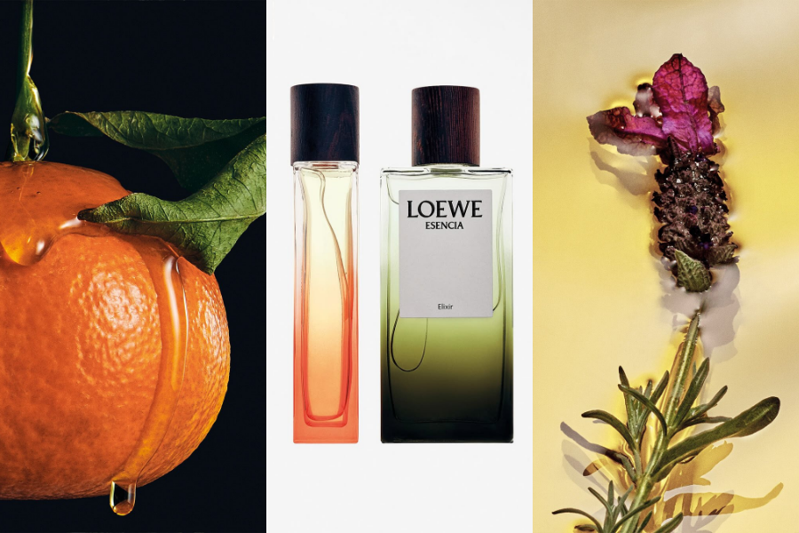 TINH-HOA-CO-DONG-LOEWE-ELIXIR-TOA-HUONG-DAU-NAM-MOI-2026-1.png