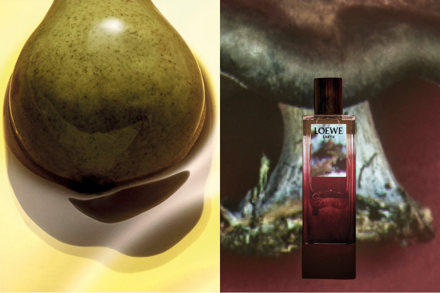 TINH-HOA-CO-DONG-LOEWE-ELIXIR-TOA-HUONG-DAU-NAM-MOI-2026-2.png