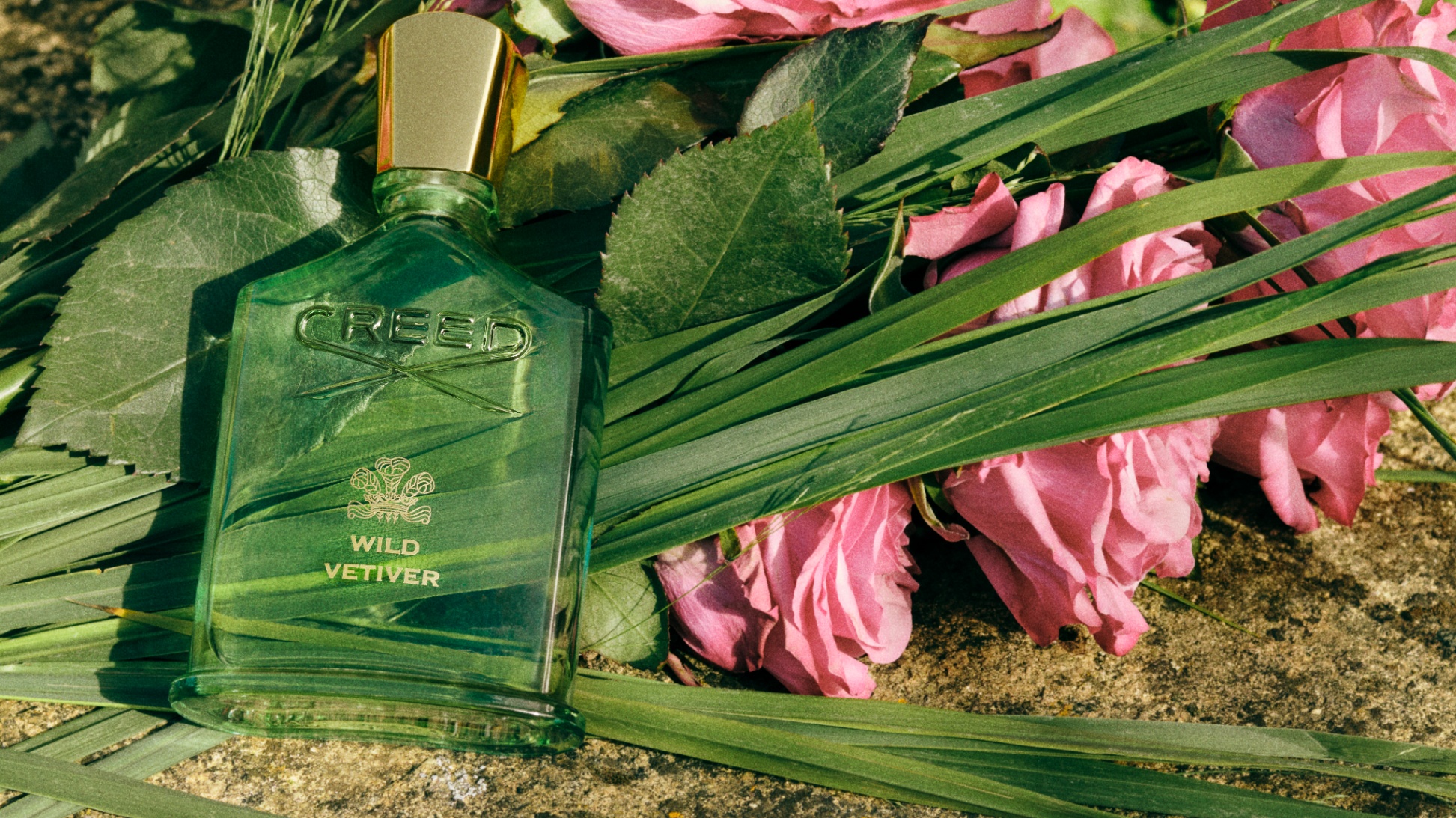 WILD-VETIVER-KHI-VE-DEP-HOANG-DA-CHAM-DEN-DINH-CAO-THANH-LICH-1.jpg