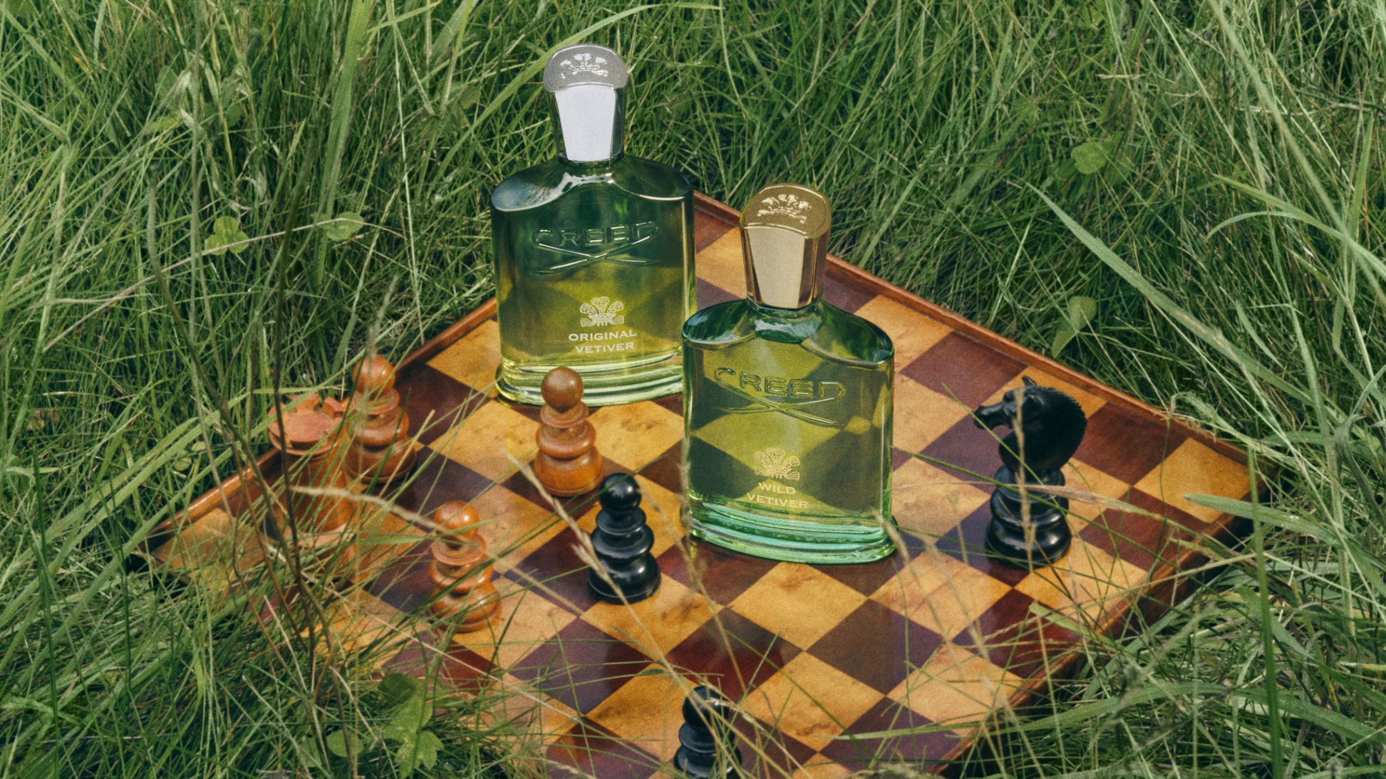 WILD-VETIVER-SU-GIAO-THOA-GIUA-DI-SAN-VA-SU-TU-DO-1.jpg