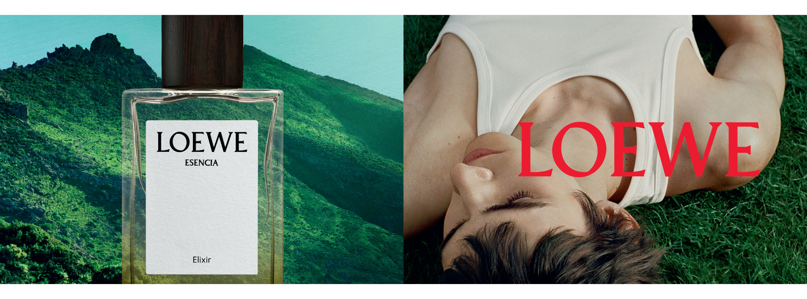 LOEWE ESENCIA