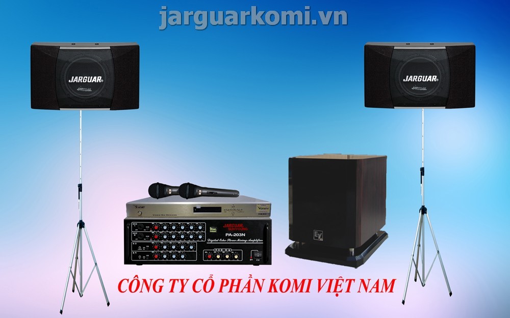 Bộ Karaoke Gia Đình Cao Cấp Dùng Sub