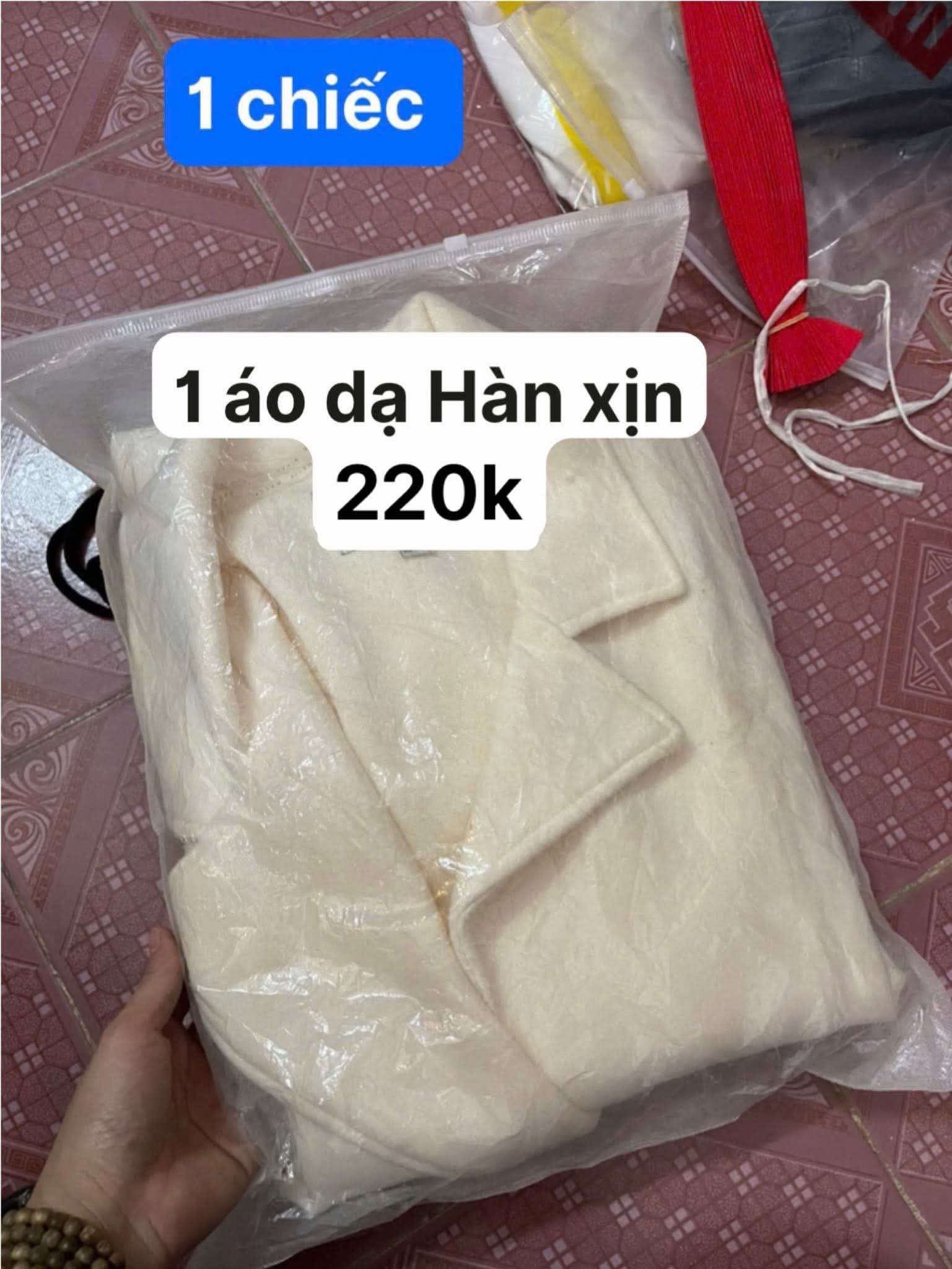 măng tô dạ Hàn live