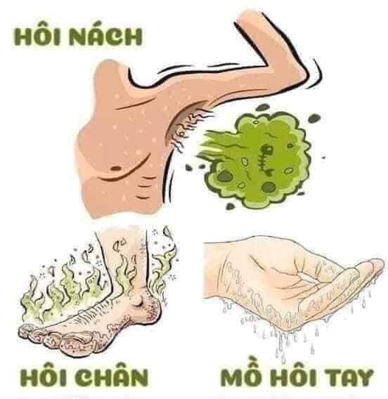 XỊT HÔI NÁCH HOÀNG CUNG