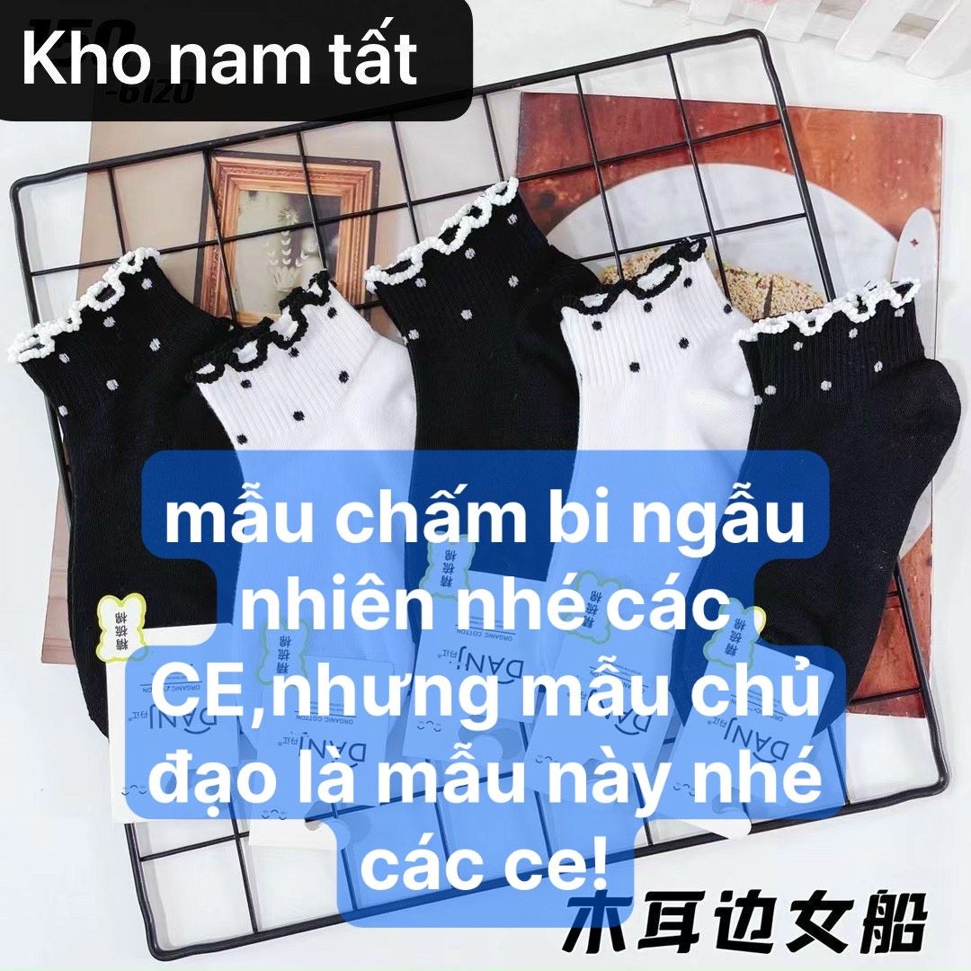 Set 10 đôi tất chấm bi viền bèo