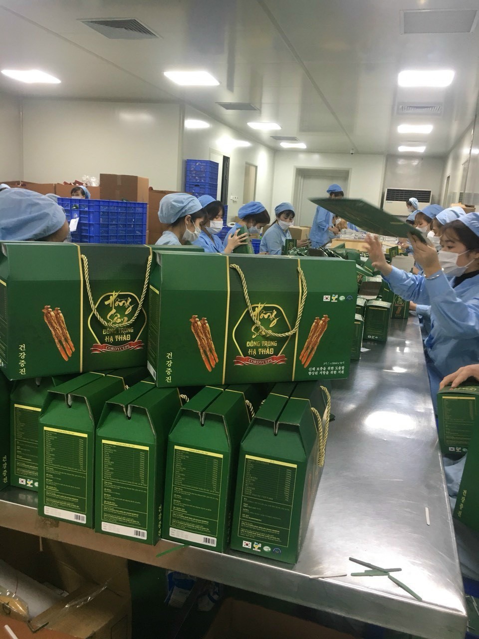 Hồng Sâm - Đông Trùng Hạ Thảo Hàn Quốc