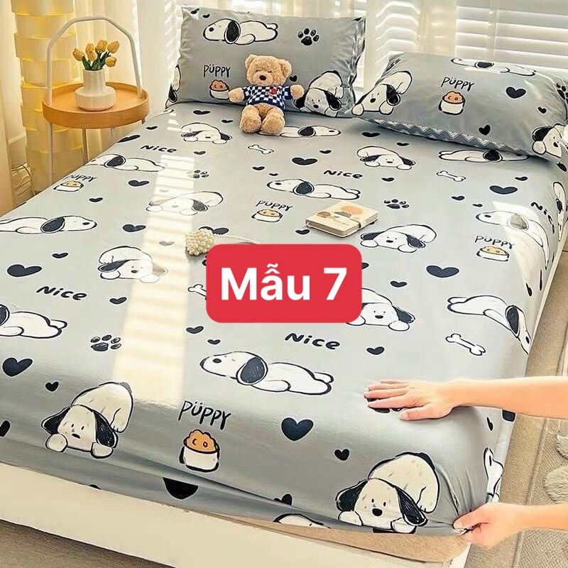 SET GA GỐI 3 MÓN ( Vỏ ga và 2 vỏ gối )