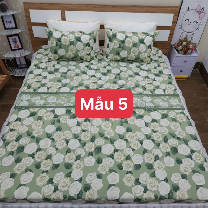 SET GA GỐI 3 MÓN ( Vỏ ga và 2 vỏ gối )