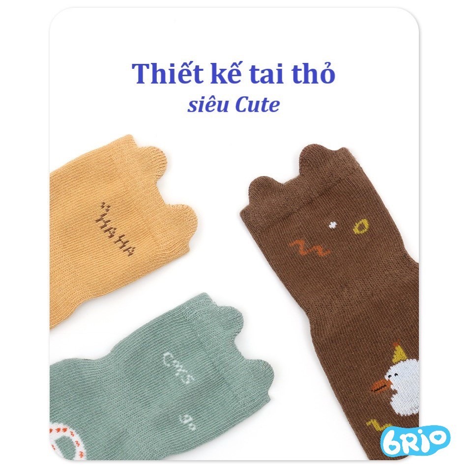 set 10 đôi Tất Cao Cổ Chống Trượt cho Bé