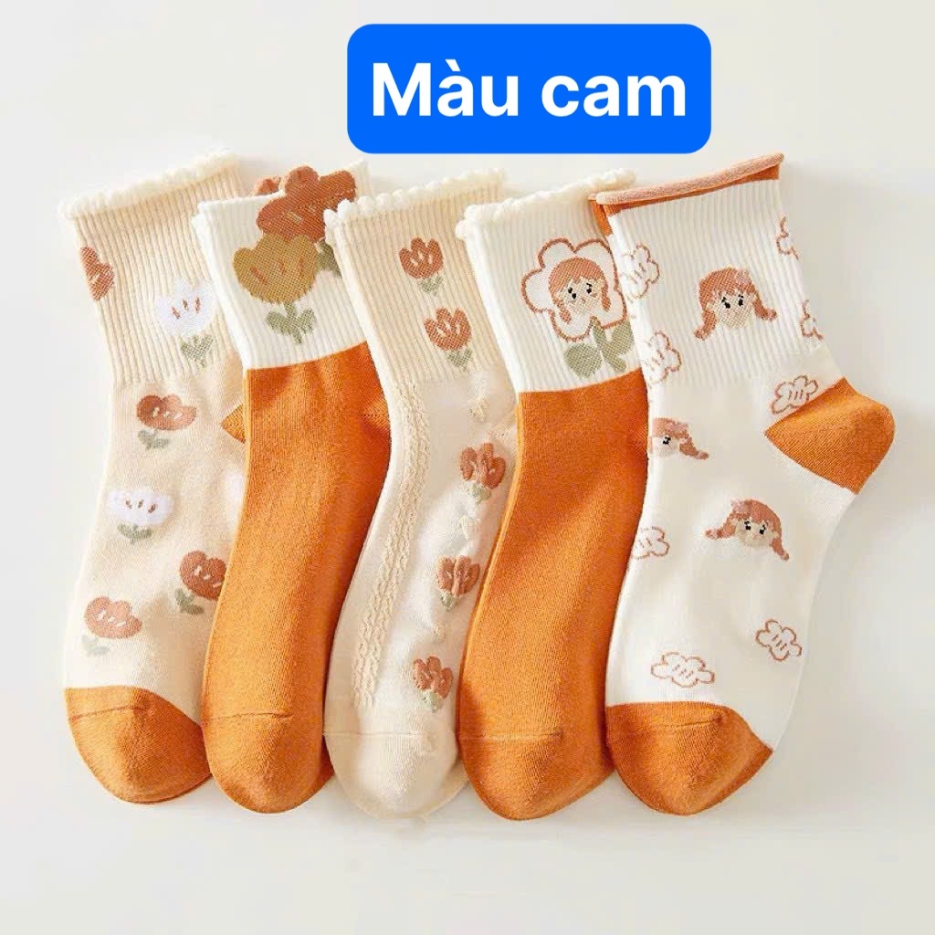 set 10 đôi Tất nữ cổ cao phong cách HQ ( 3 màu họa tiết )