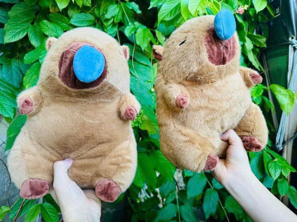 Thú Bông Capy bara khịt mũi 30cm