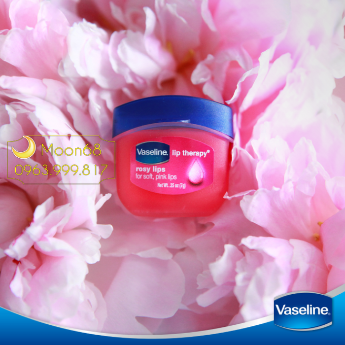 Hũ dưỡng môi Vaseline 1b6