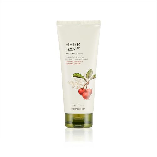 SRM TFS Herbday 365 Cleansing Foam 170ml 1b10