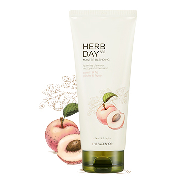 SRM TFS Herbday 365 Cleansing Foam 170ml 1b10