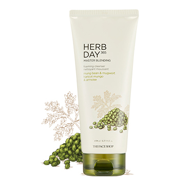 SRM TFS Herbday 365 Cleansing Foam 170ml 1b10