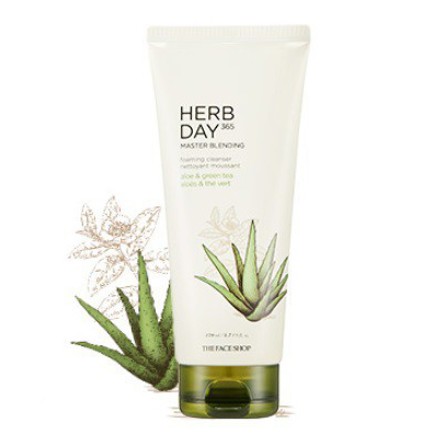 SRM TFS Herbday 365 Cleansing Foam 170ml 1b10