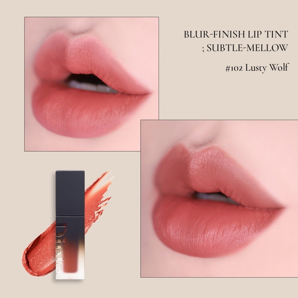 Son kem DINTO Blur-Finish Lip Tint