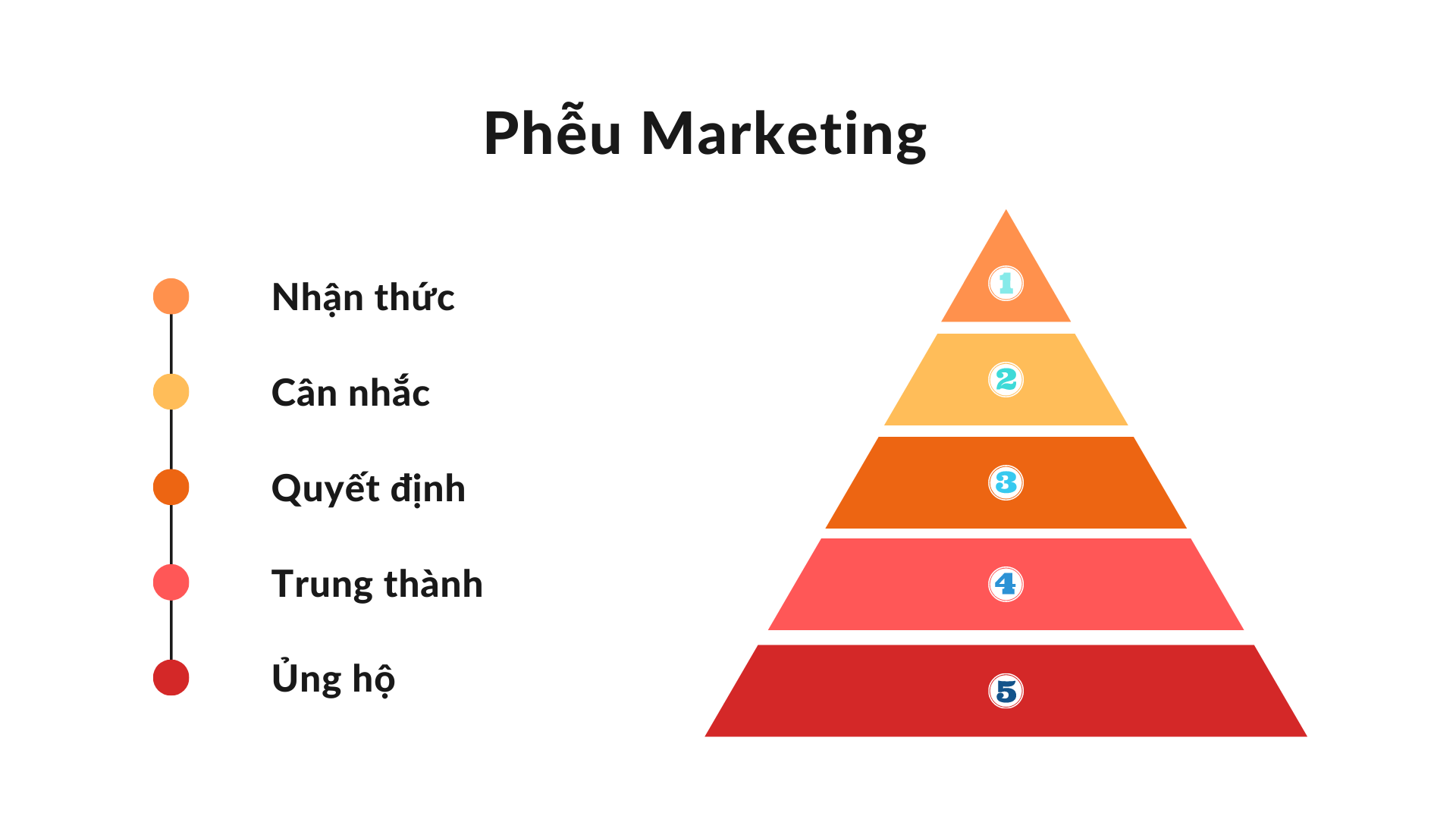 Vì sao doanh nghiệp cần tối ưu phễu chuyển đổi trong Digital Marketing?