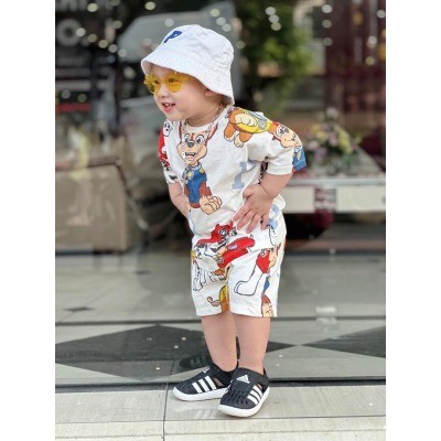 Bộ chó cứu hộ in tràn