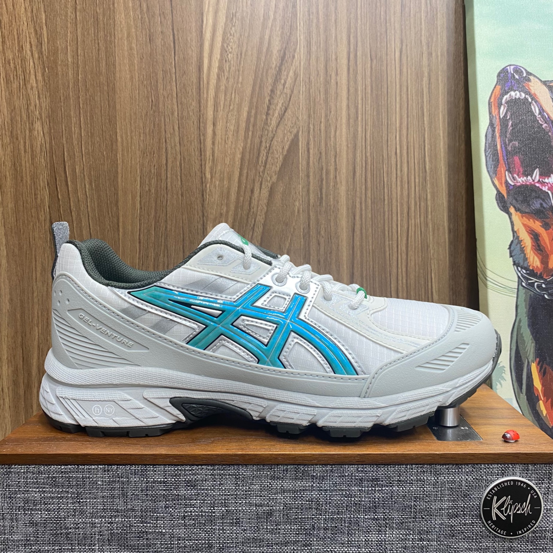Asics Gel-Venture 6 Shield Hidden NY size 42.5 (New-Fullbox)