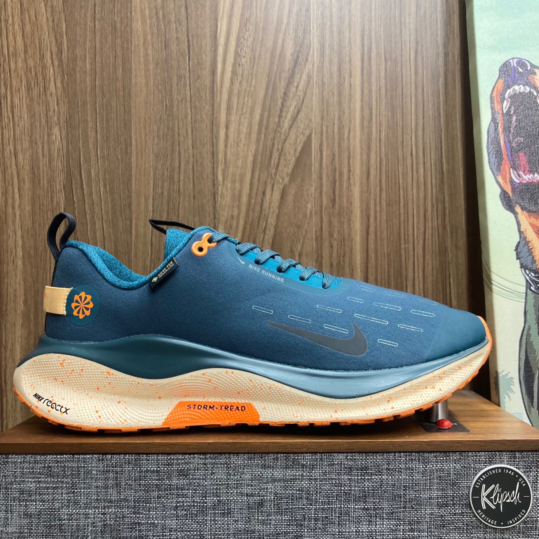 Nike ReactX Infinity 4 Gore-Tex size 44