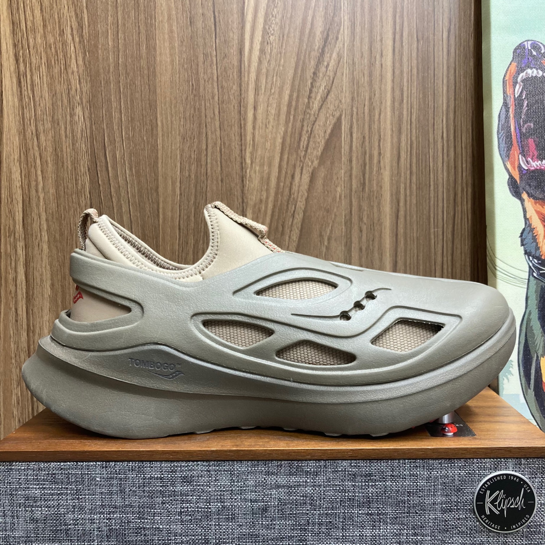 Saucony x Tombogo Butterfly size 44