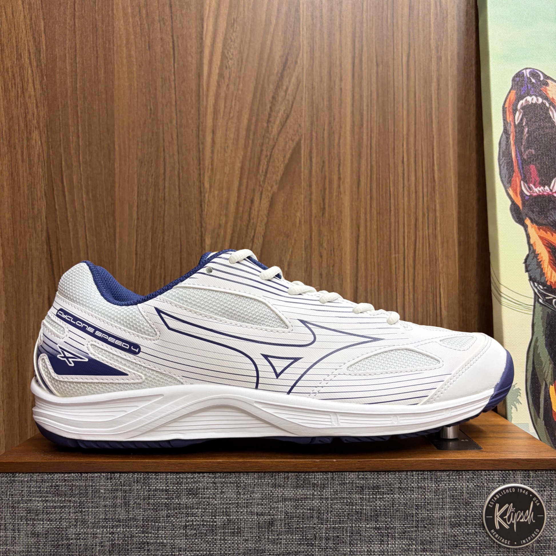 Mizuno Cyclone Speed 4 size 44.5 (Fullbox)