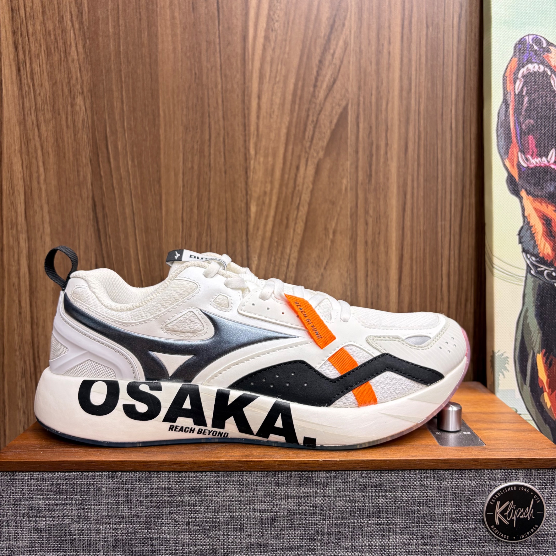 Mizuno Pi Osaka size 41 (New-Fb)