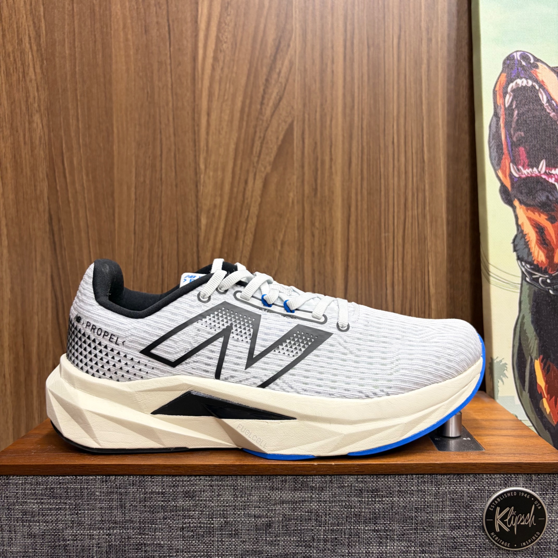 New Balance FuelCell Propel v5 size 40 (New)
