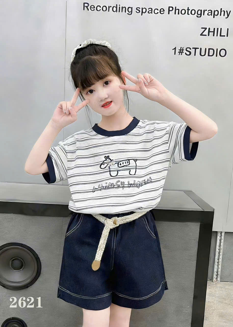 2621 set bộ ngựa kẻ