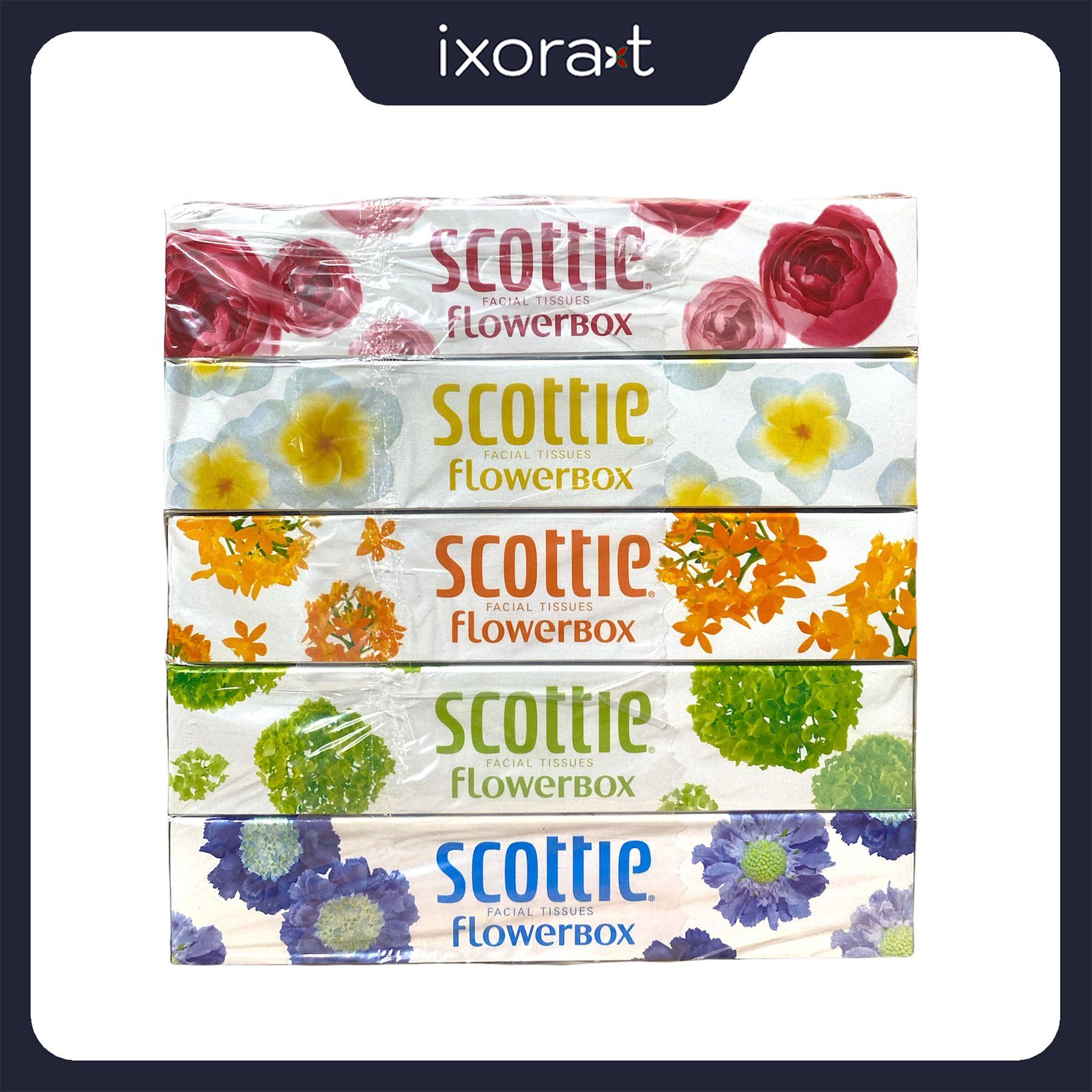 Set khăn giấy Scottie 5 màu cao cấp