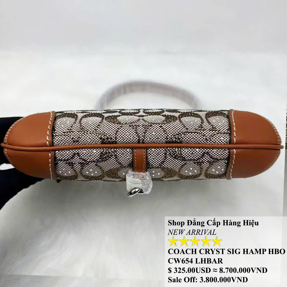 Coach CW654 Hamptons Hobo Limited Canvas Brown 2.jpg