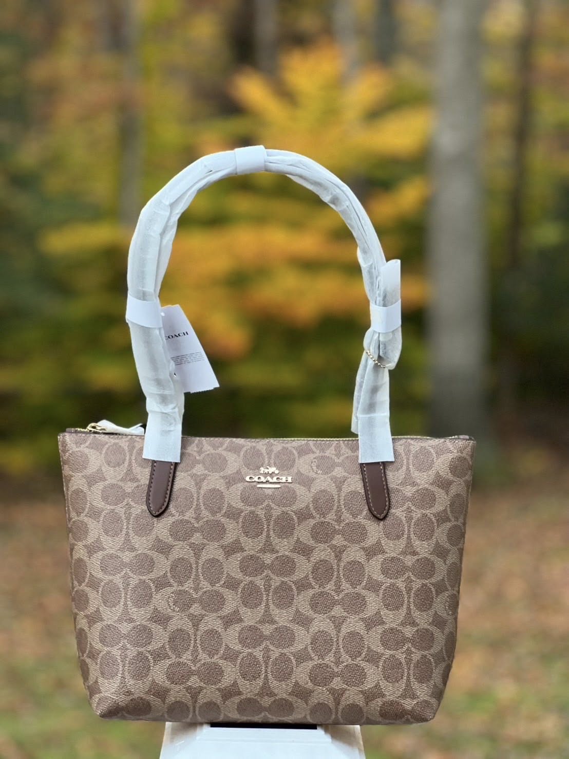 Coach CBT18 Tan Brown 1.jpg