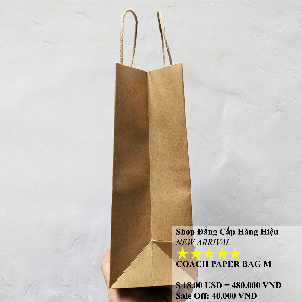 Coach Paper Bag Size M 1.jpg