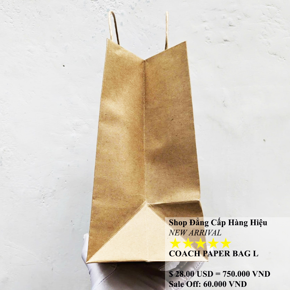 Coach Paper Bag Size L 1.jpg
