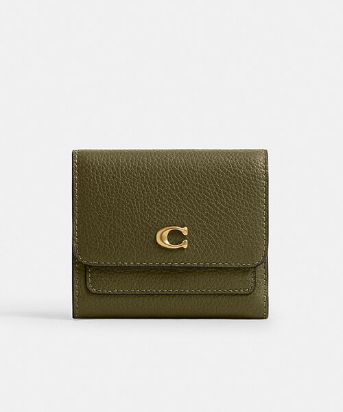 Coach CAO13 B4OL 6.jpg