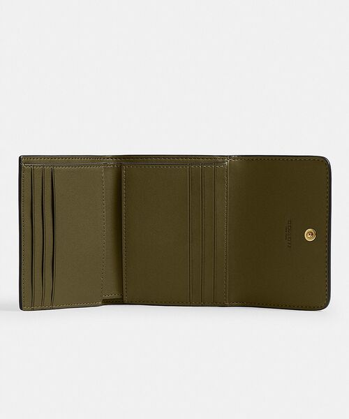 Coach CAO13 B4OL 6.jpg