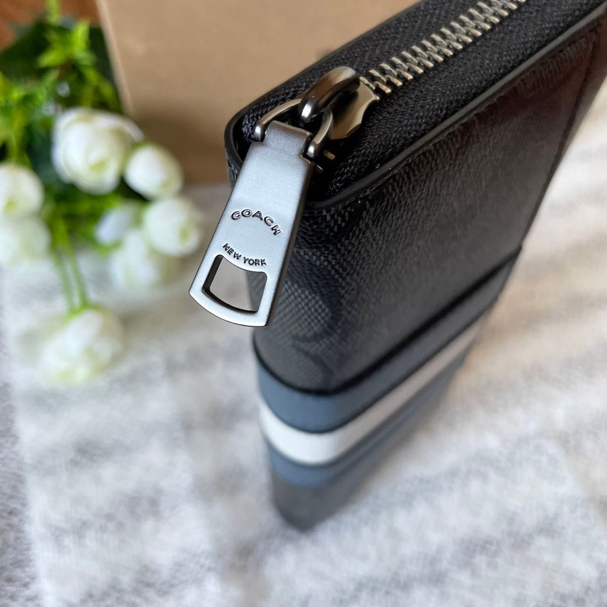 Coach F26070 Preorder Varsity Blue Stripe Signature Canvas 21.jpg