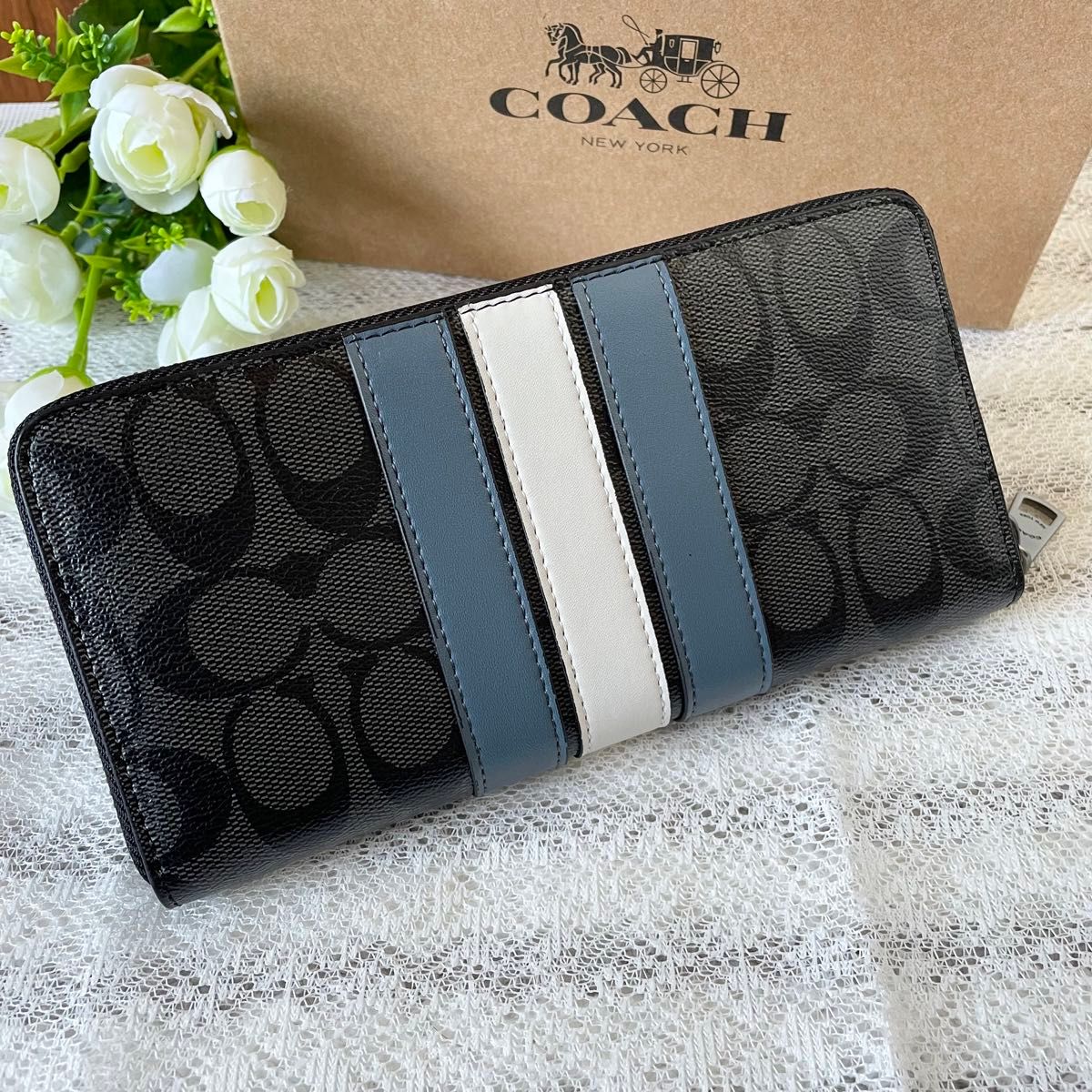 Coach F26070 Preorder Varsity Blue Stripe Signature Canvas 21.jpg