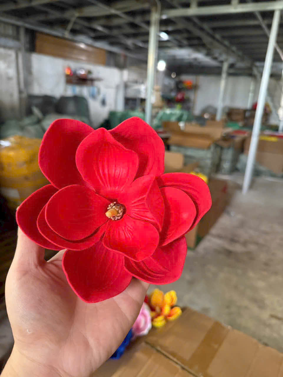 Hoa mộc lan Việt