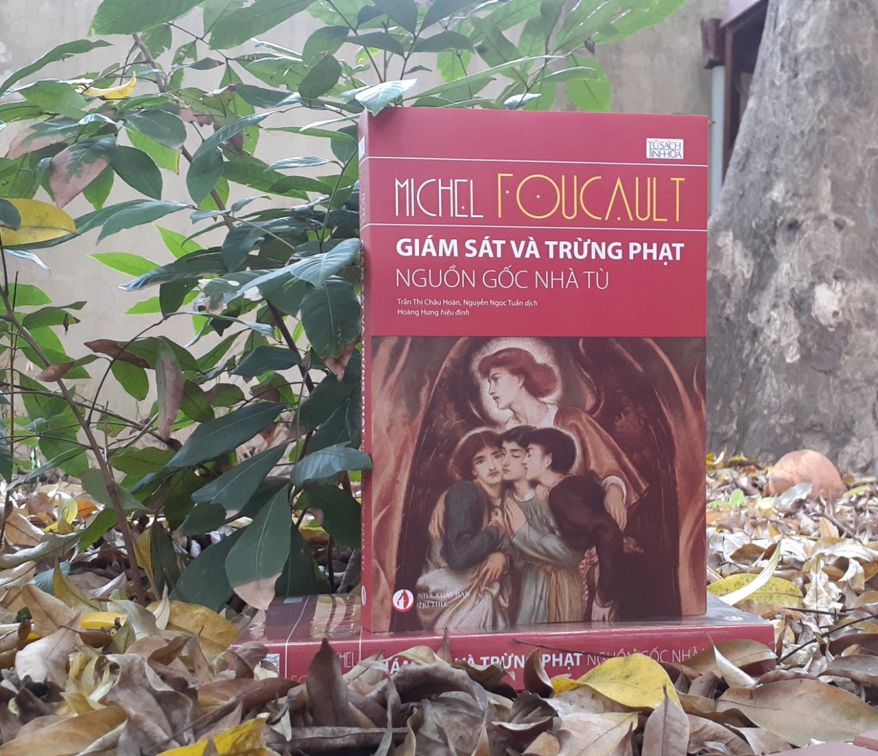 Giám Sát Và Trừng Phạt