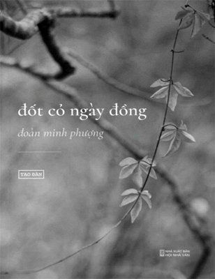 Đốt Cỏ Ngày Đồng